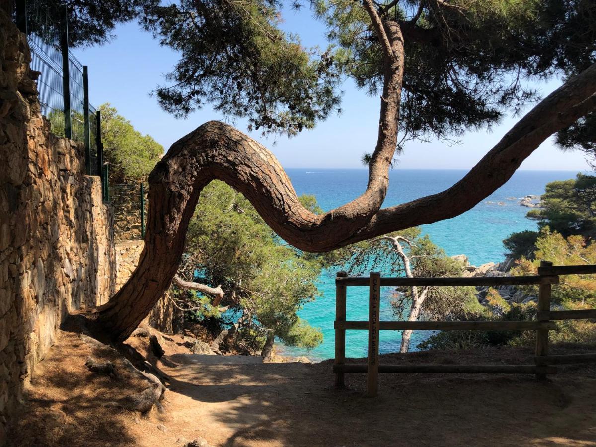 Excepcional 1ª Linea De Mar Platja D'Aro Elypalace 10-2 외부 사진
